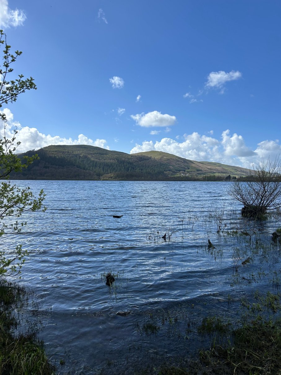 阿玛斯维特大楼酒店-旅行者