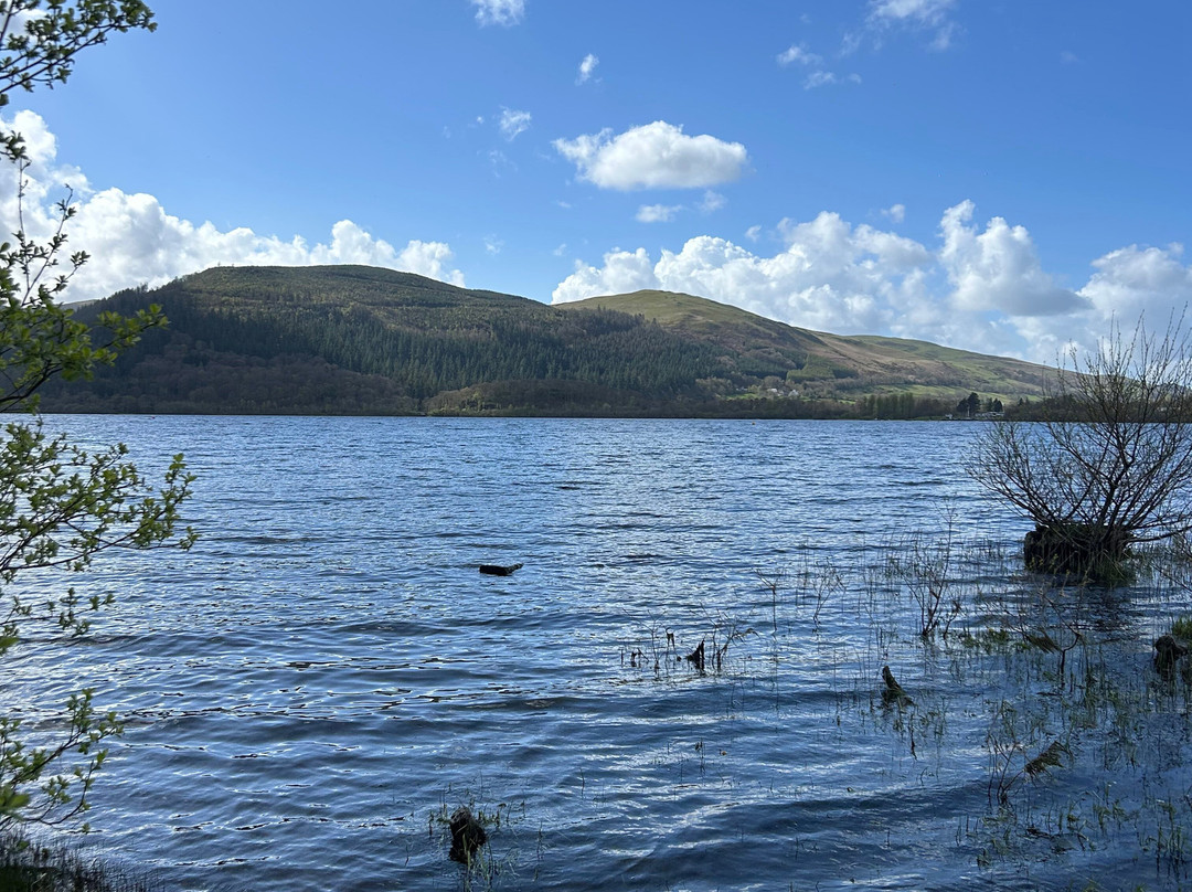 阿玛斯维特大楼酒店主图