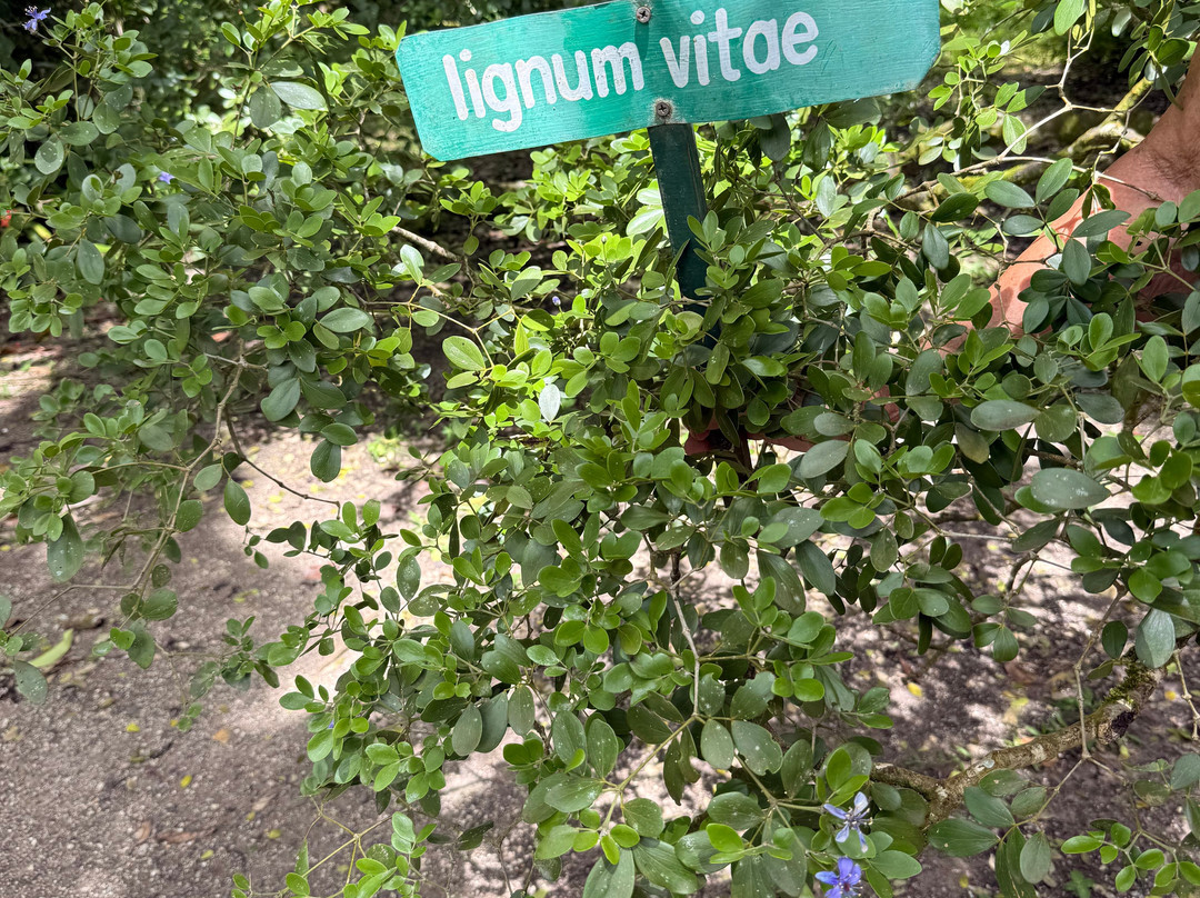 Sun Valley Plantation Hummingbird Garden-奥乔里奥斯必去景点