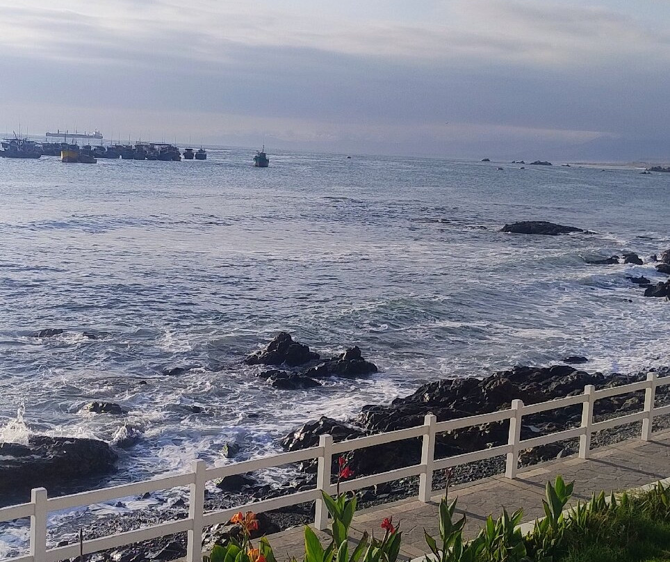 Puerto de Ilo-Ilo必去景点