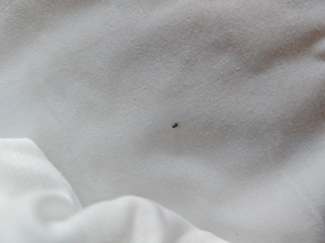 热浪岛拉古娜度假村主图