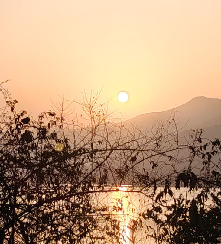 金天鹅海滩度假村主图