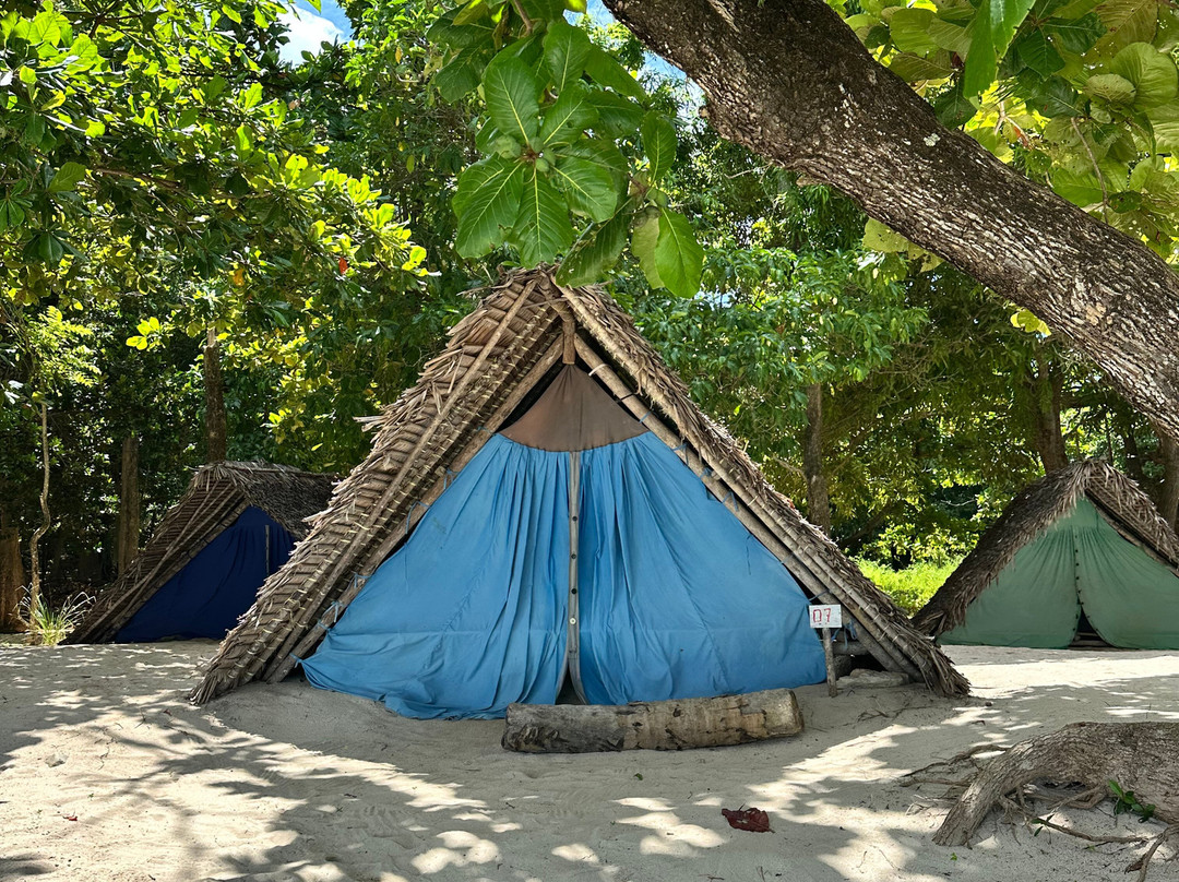 Alina Trips - Excursions en bateau depuis Nosy Komba et Nosy Be-Nosy Komba必去景点