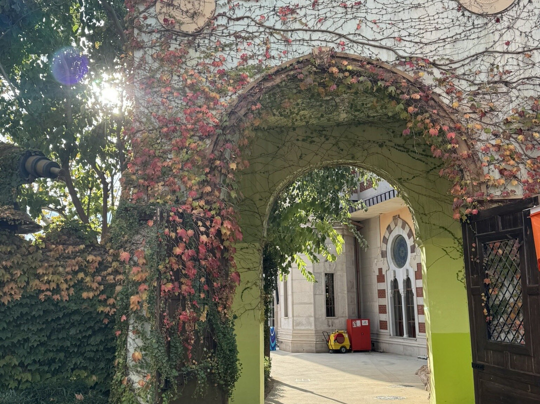 The Land Of Legends Theme Park-Kadriye必去景点