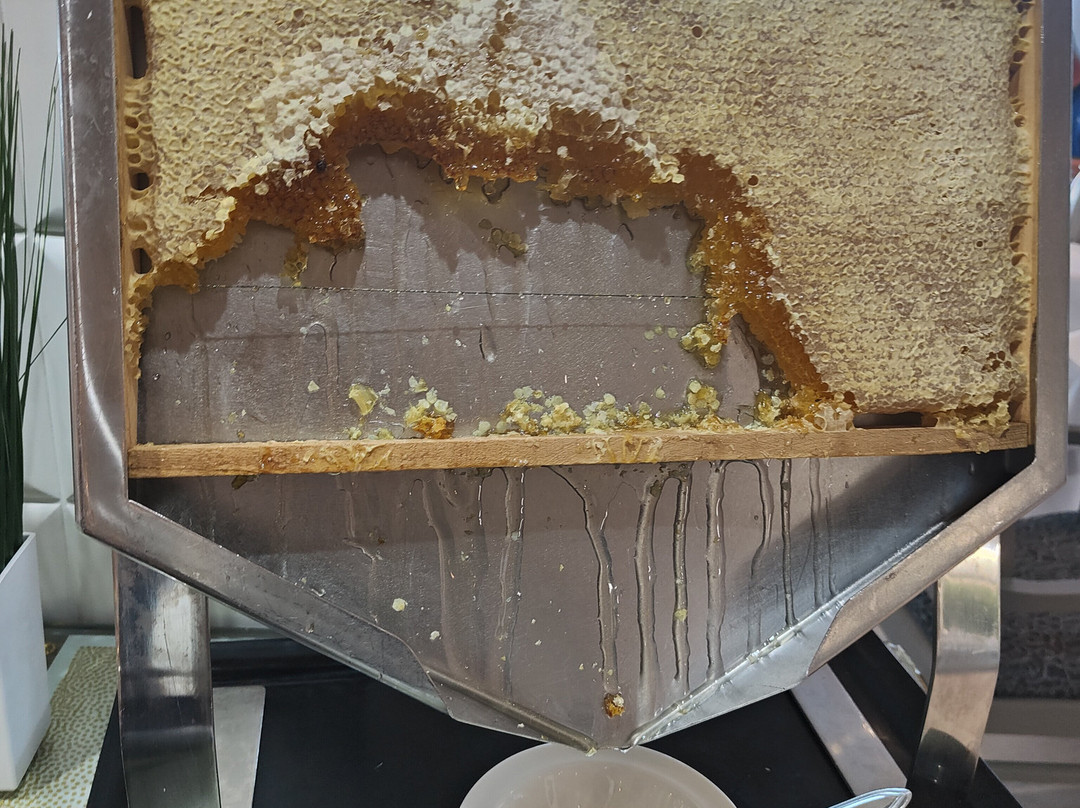 阿罗纳春天大酒店-限成人主图