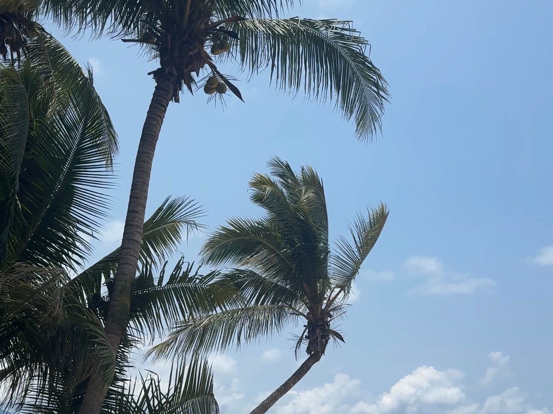 Sea Gypsy Village Resort & Dive Base主图