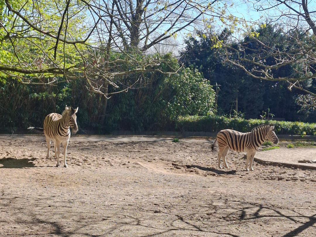 Zoo Duisburg-杜伊斯堡必去景点