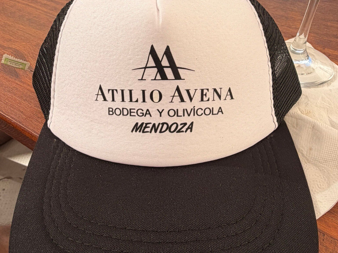 Bodega Atilio Avena-门多萨必去景点