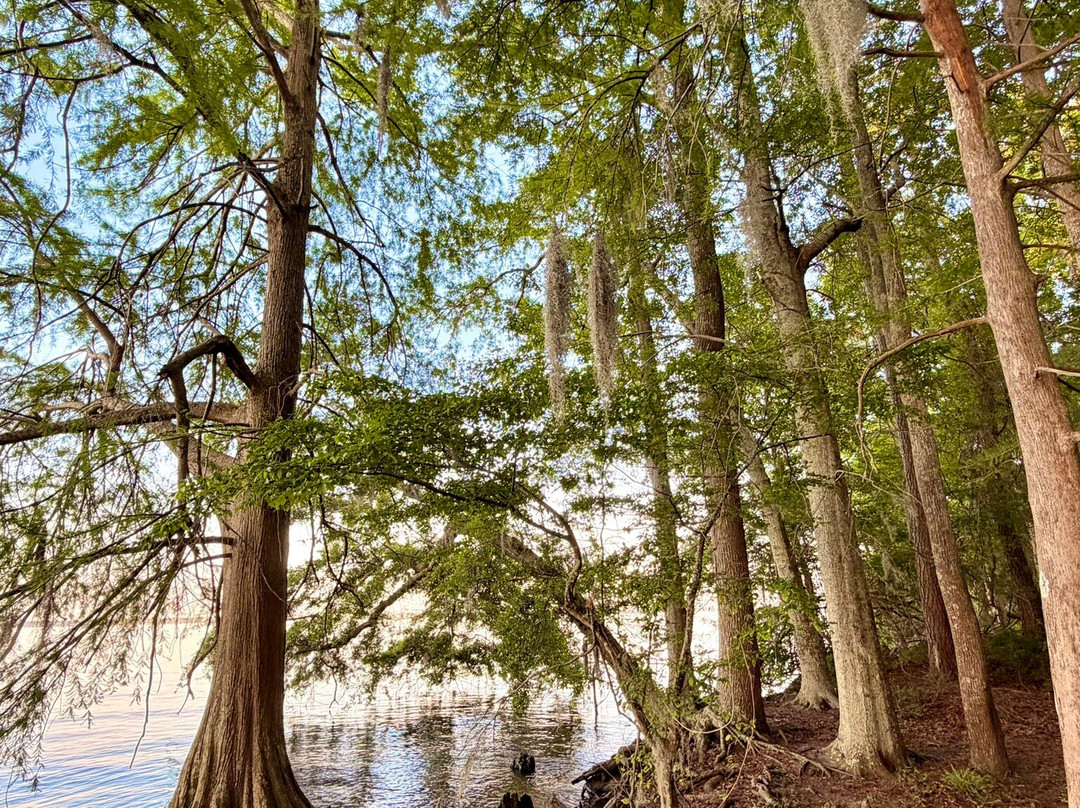 Santee State Park-Santee必去景点