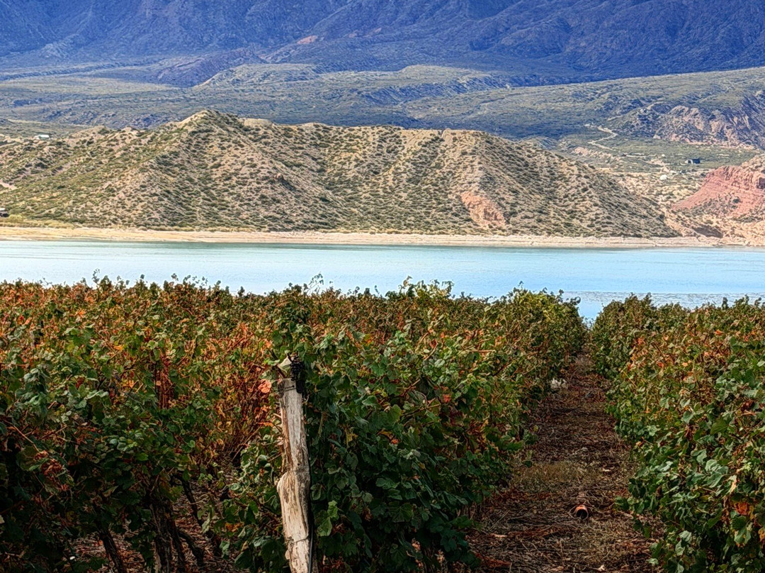 波垂利罗斯大酒店主图