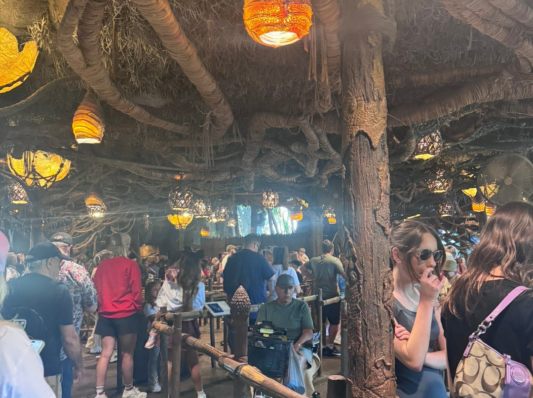 Pandora – The World of Avatar-奥兰多必去景点