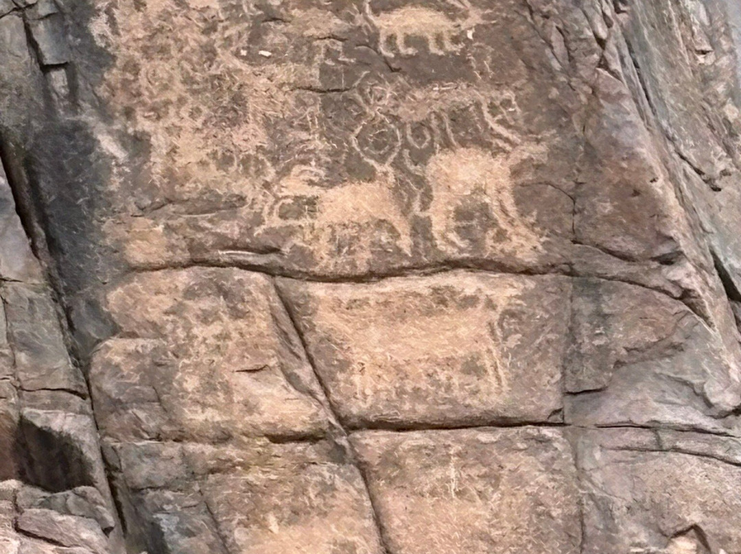 Tonto National Forest-亚利桑那必去景点