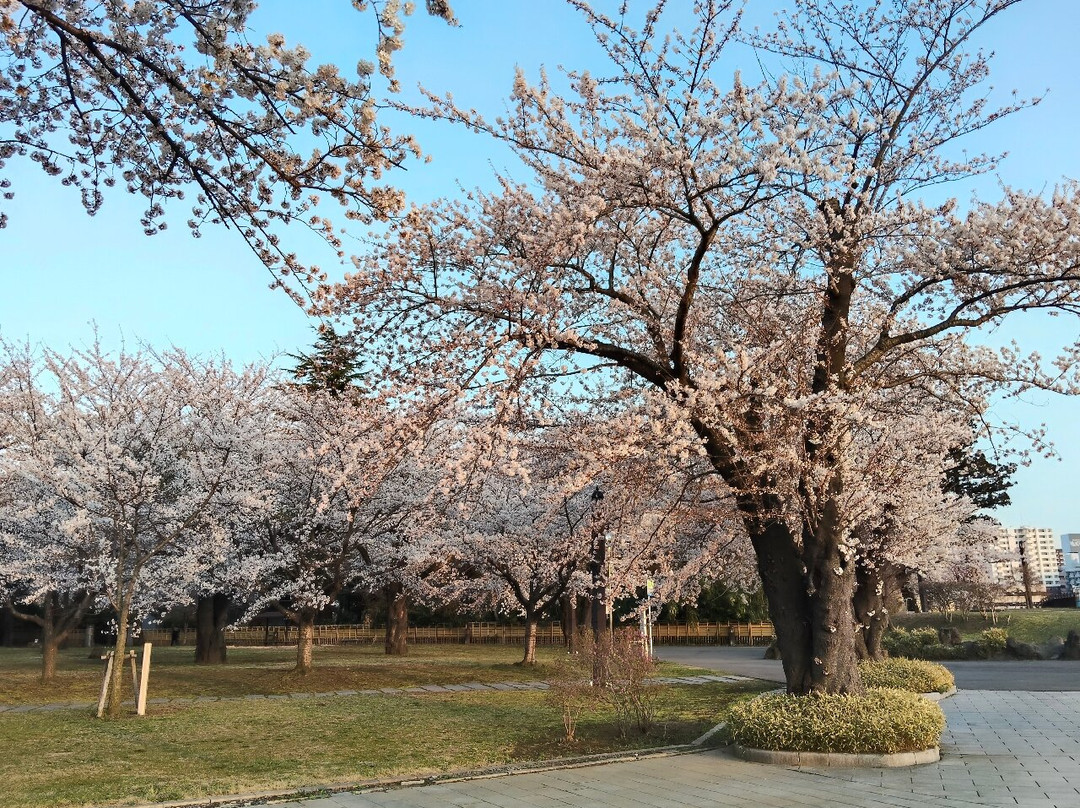 Hachinohe Castle Ruins-八户市必去景点