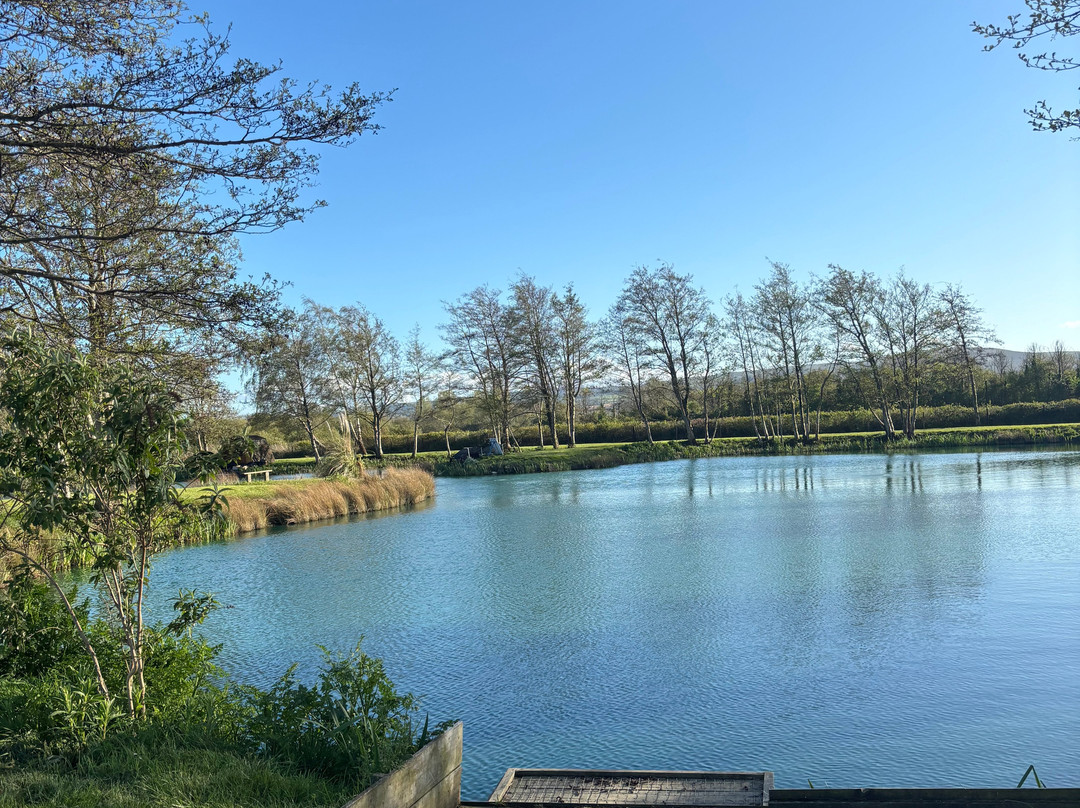 Burton Springs Fishing and Holidays-布里奇沃特必去景点