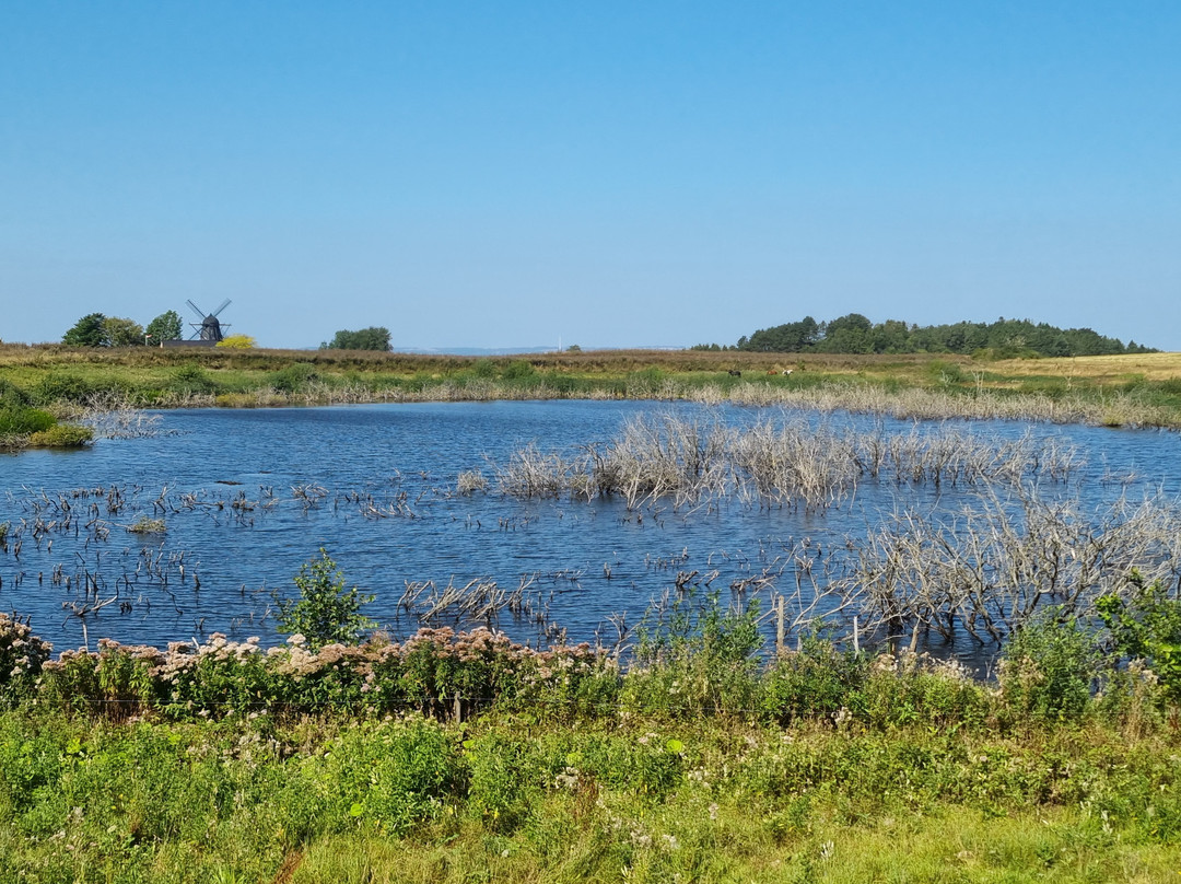 Nationalpark Mols Bjerge-Roende必去景点