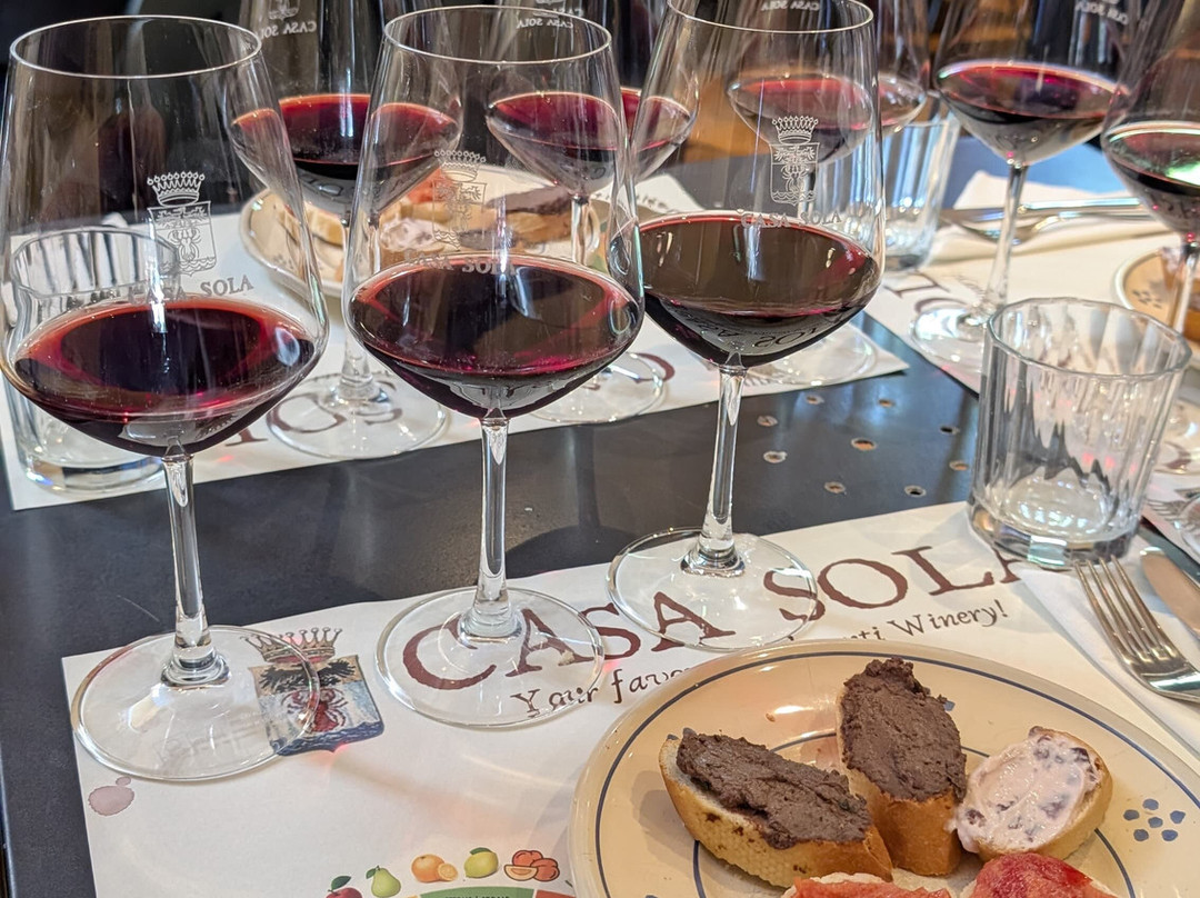 Casa Sola Chianti Winery-巴尔贝里诺瓦尔德尔萨必去景点