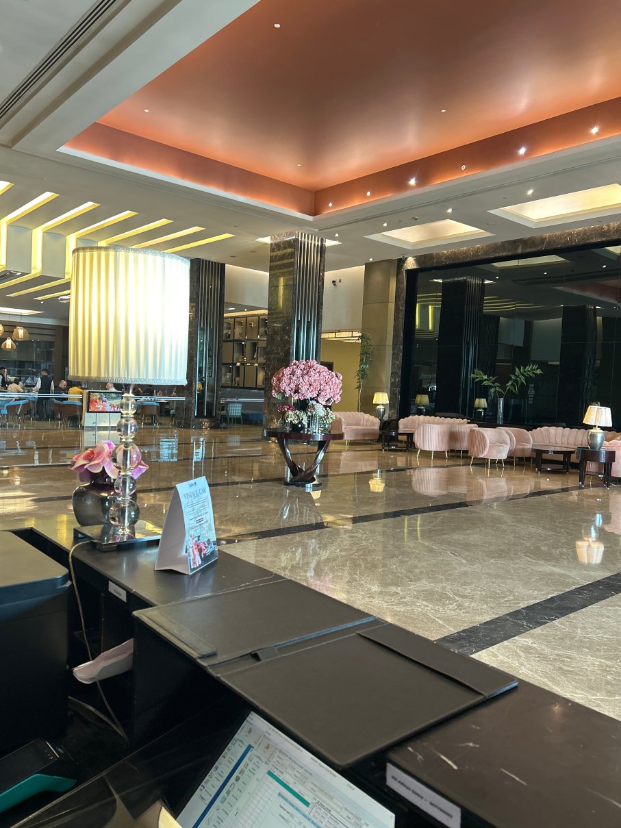鲁德罗布尔丽笙酒店-旅行者