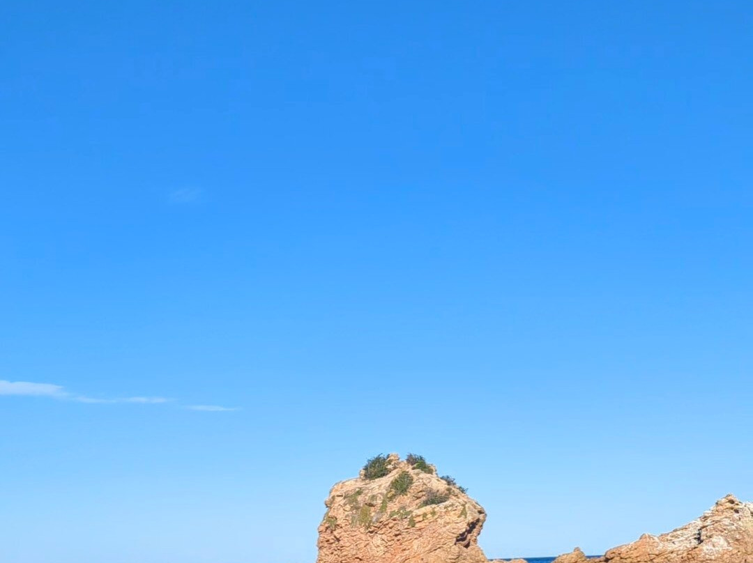 Ocean Adventures Phillip Island-圣雷莫必去景点