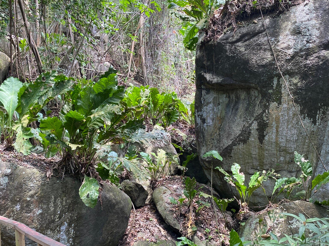 Parque Nacional Natural Tayrona-Tayrona National Park必去景点