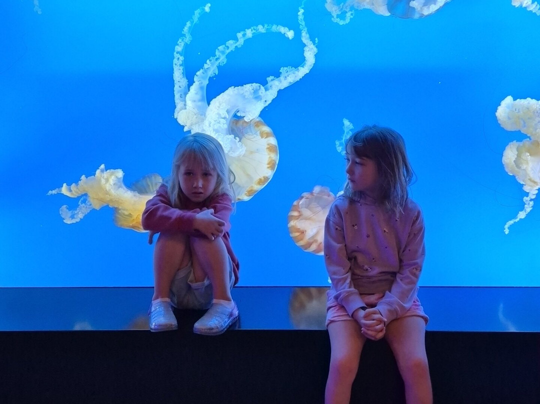 Seaside Aquarium-锡赛德必去景点