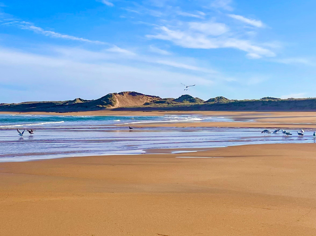 Fraserburgh Beach-Fraserburgh必去景点