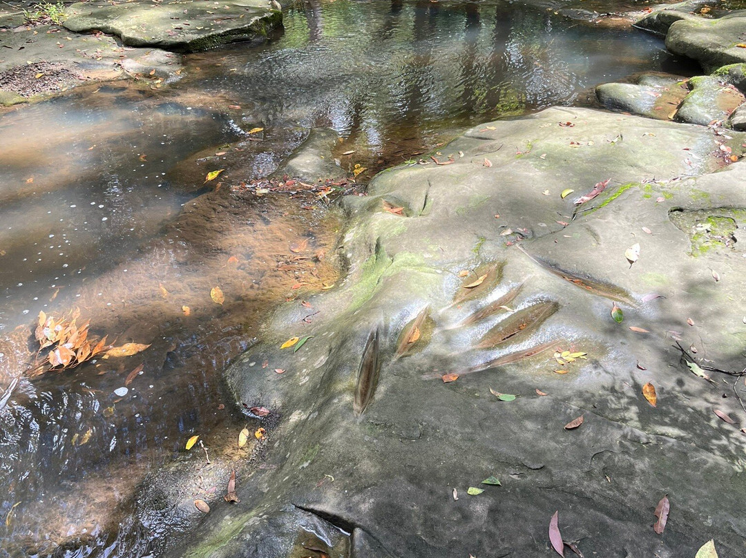 Little Rocky Creek-Landsborough必去景点