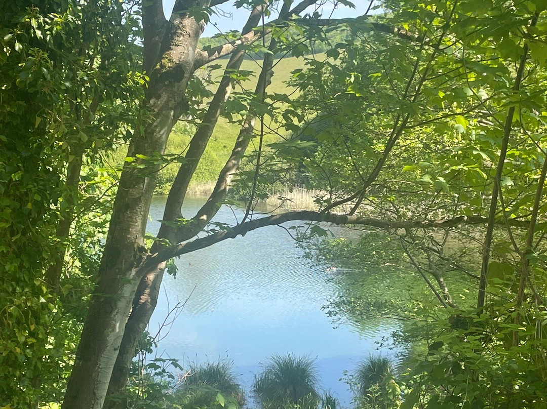 Swanbourne Lake-阿伦德尔必去景点