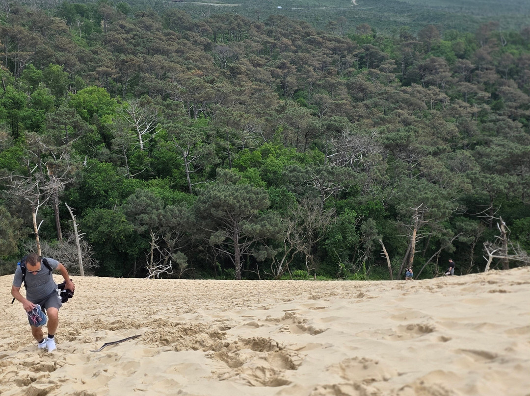 Great Dune of Pilat-拉泰斯特德比克必去景点