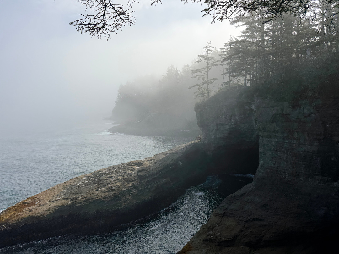 Cape Flattery-Clallam Bay必去景点