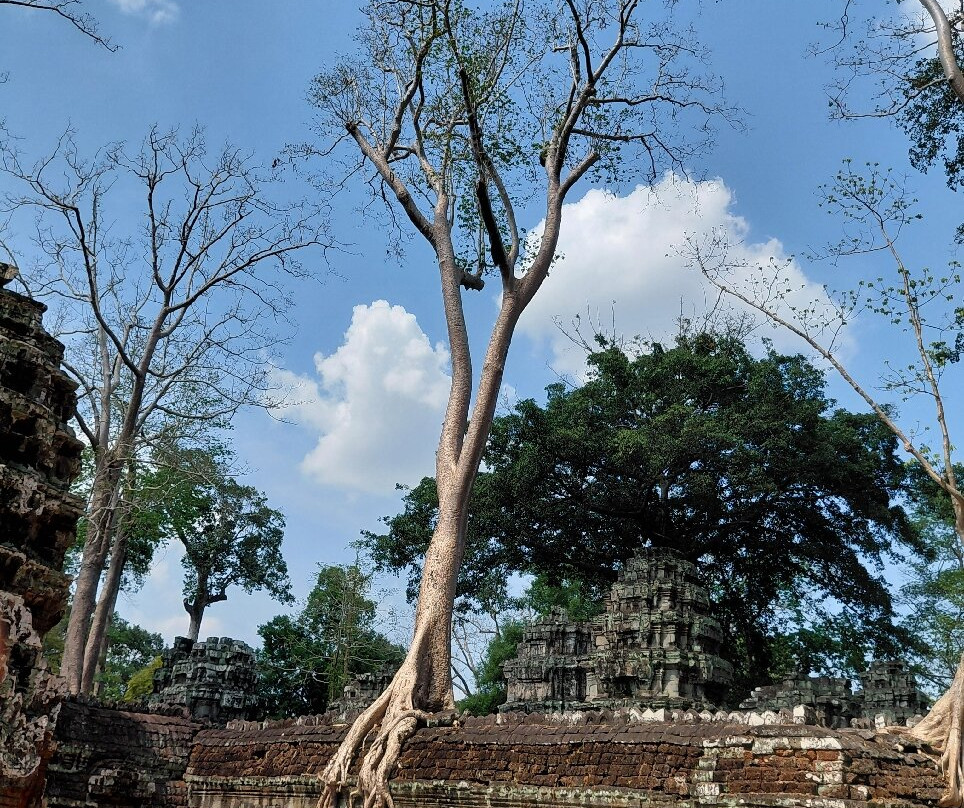 Jimmy  Private Angkor Guide & Driver-暹粒必去景点