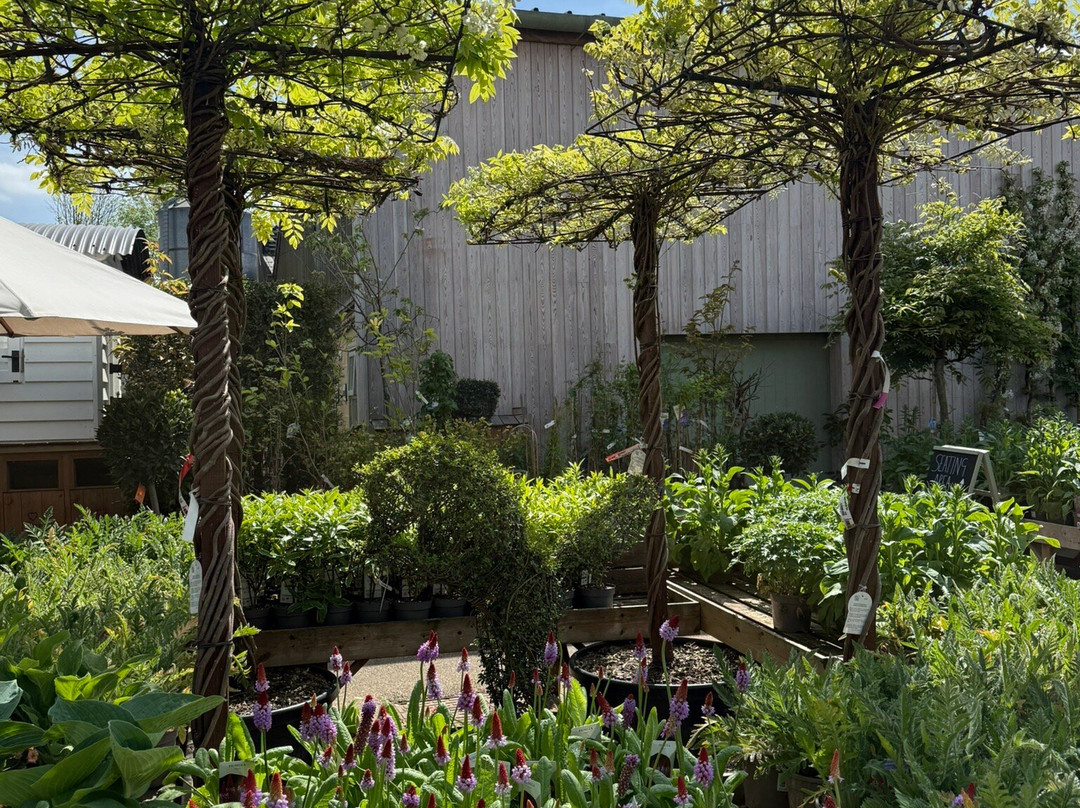 Daylesford-Kingham必去景点
