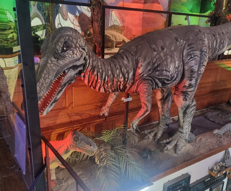 Dinosaurland Fossil Museum-莱姆里杰斯必去景点