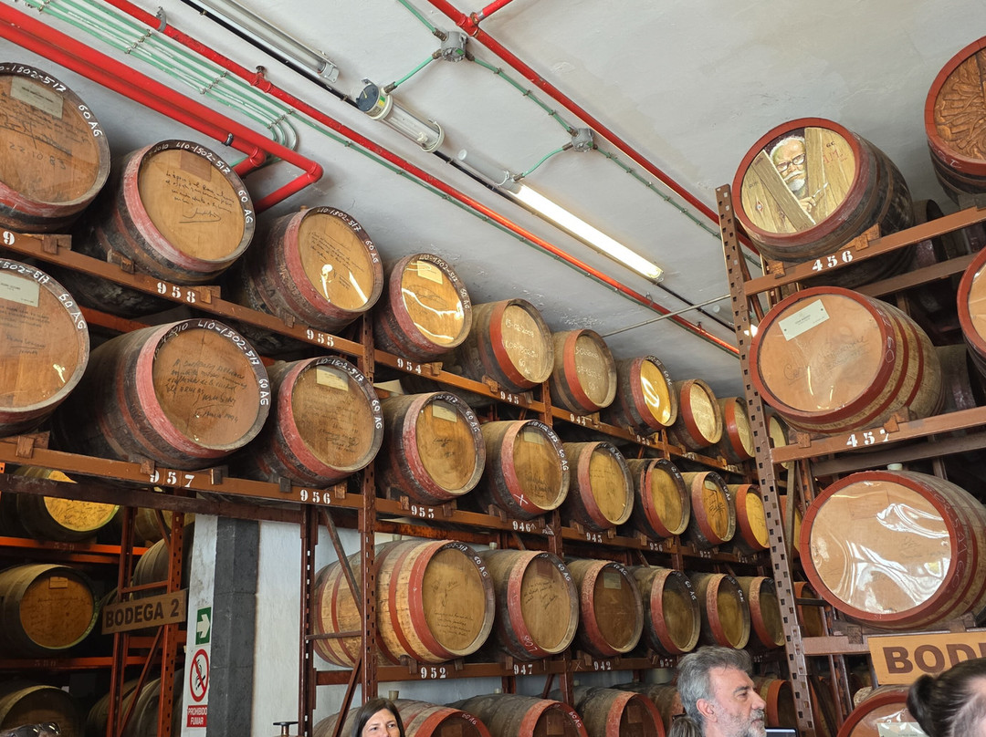 Arehucas Rum Distillery-Arucas必去景点