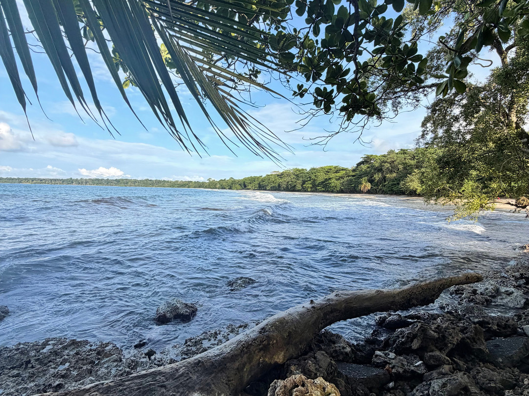 Cahuita National Park-卡维塔必去景点
