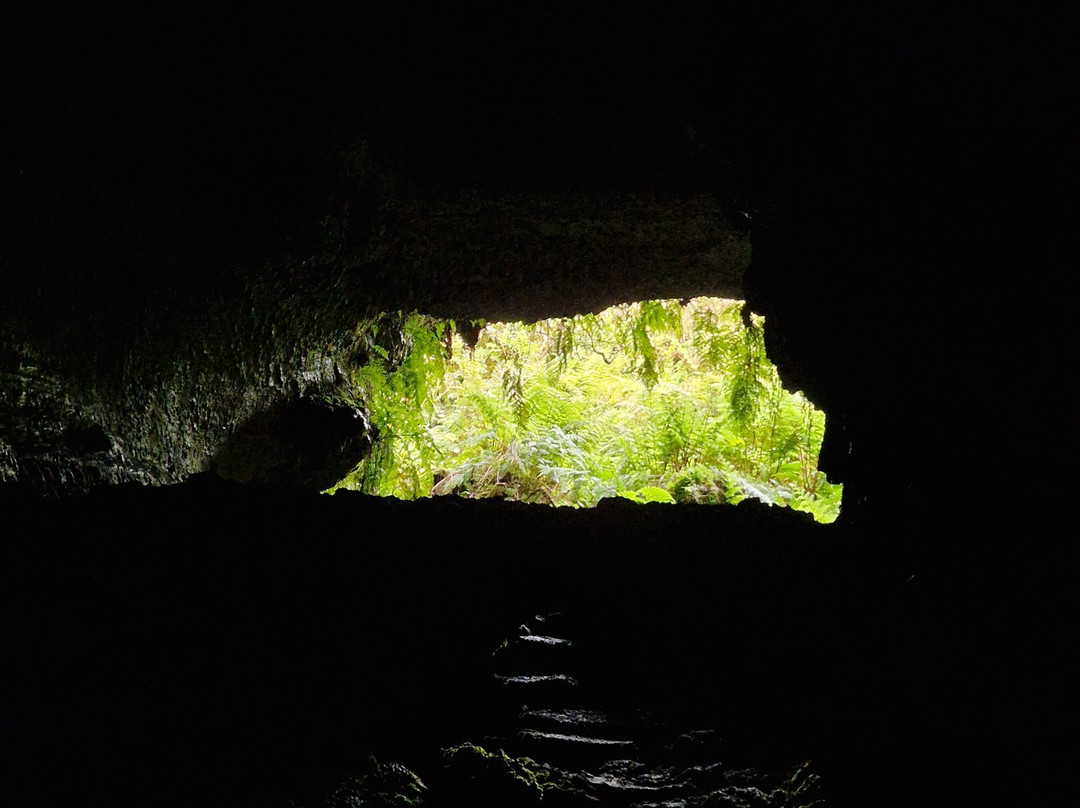 Hominis Natura-Lajes do Pico必去景点