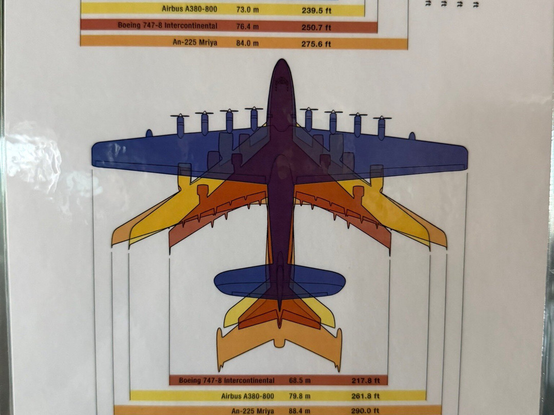 Evergreen Aviation & Space Museum-麦克明维尔必去景点