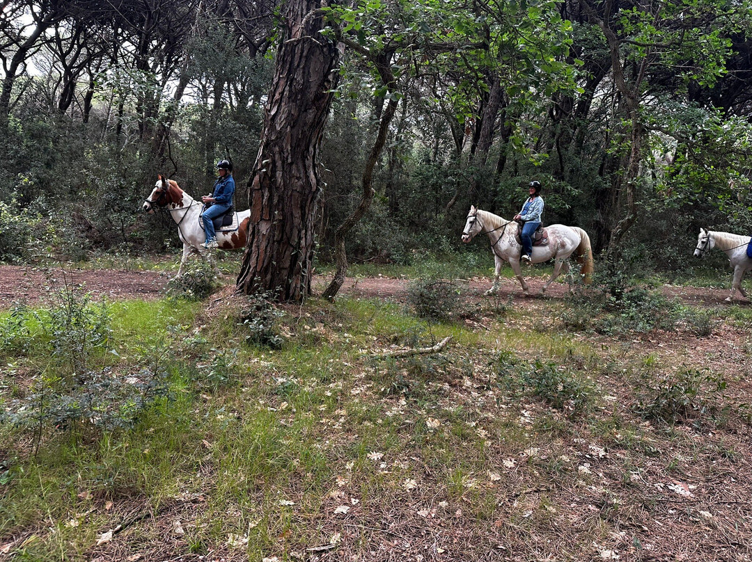 Cavallo Natura-Marina di Grosseto必去景点