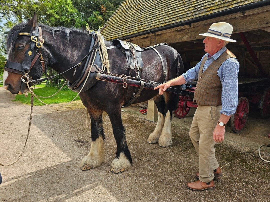 Acton Scott Heritage Farm-Acton Scott必去景点