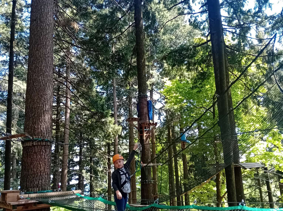Jungle Raider Park-Albavilla必去景点