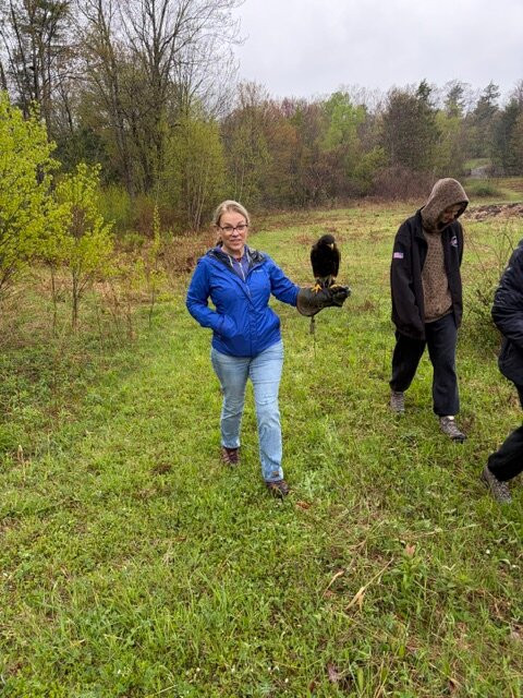 Monadnock Falconry-Temple必去景点