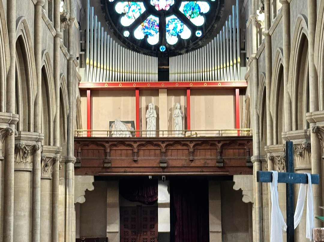 St Fin Barre's Cathedral-科克必去景点