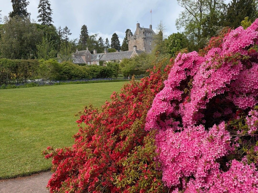 Cawdor Castle-奈恩必去景点