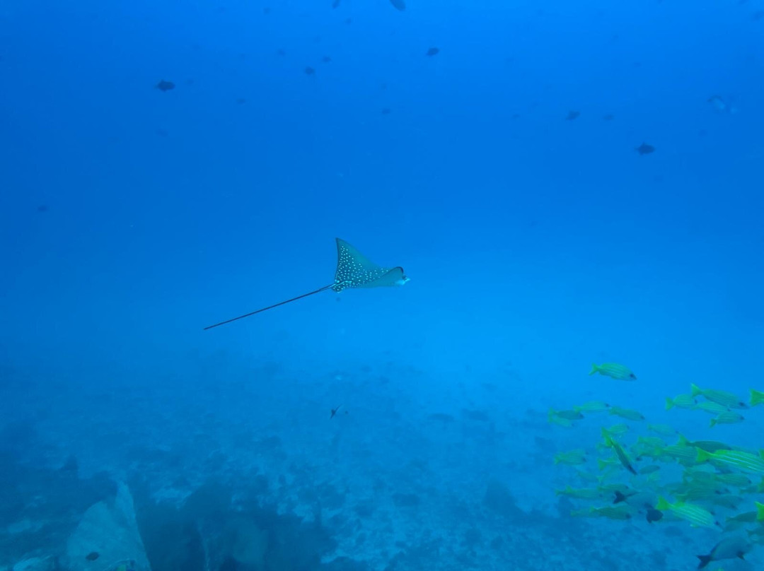 Dune Maldives-胡鲁马累必去景点