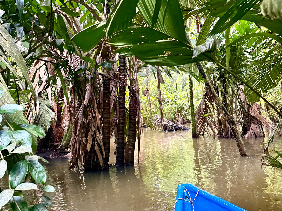 Costa Rica Roots Tours-托图杰多必去景点