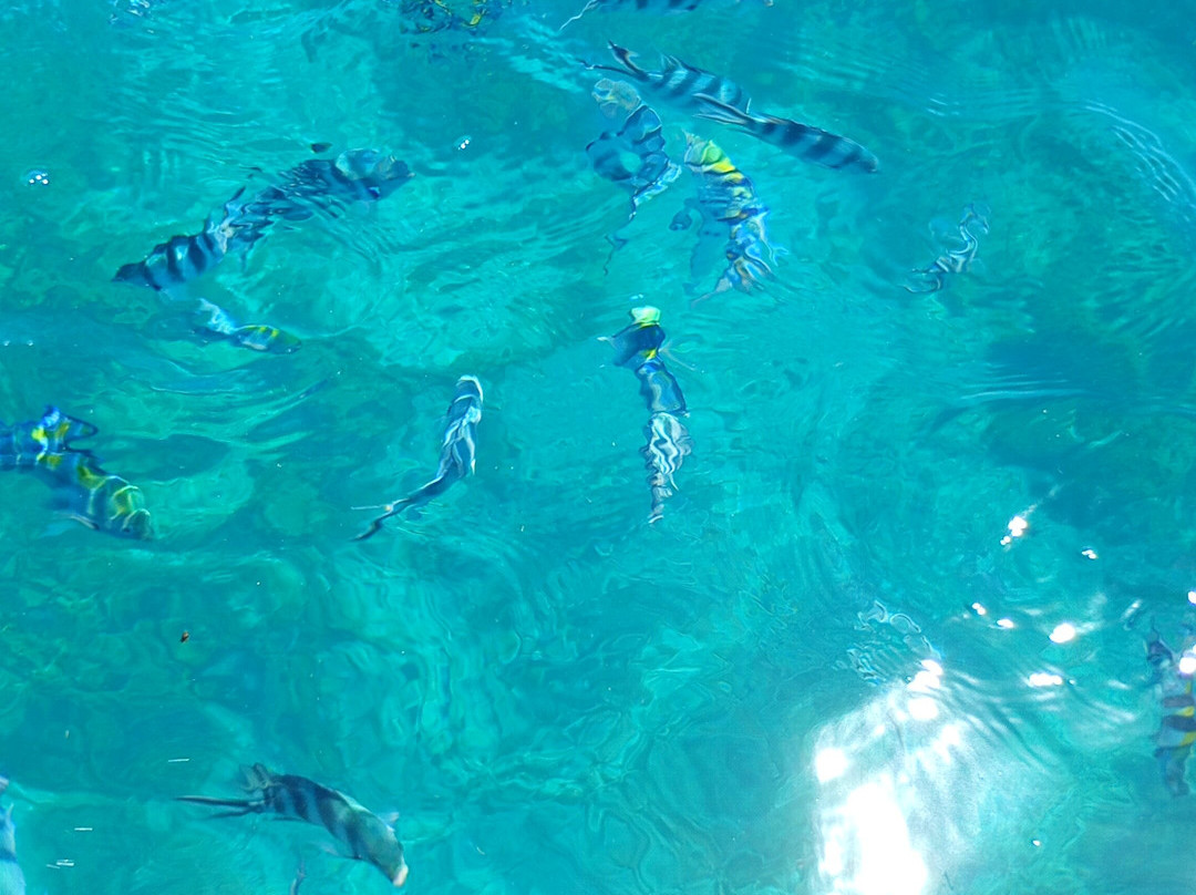 Zanzibar Kombo Tours and Safaris-桑给巴尔市必去景点