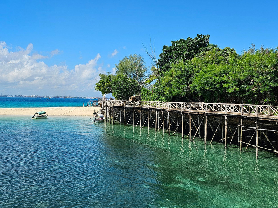 Prison Island - Changuu Private Island-石头城必去景点