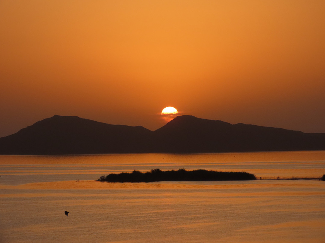 El_bagoushy Tours-Aswan 1必去景点