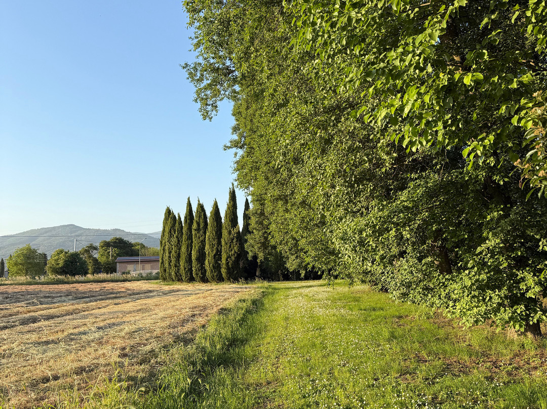 Agriturismo Il Trebbio主图