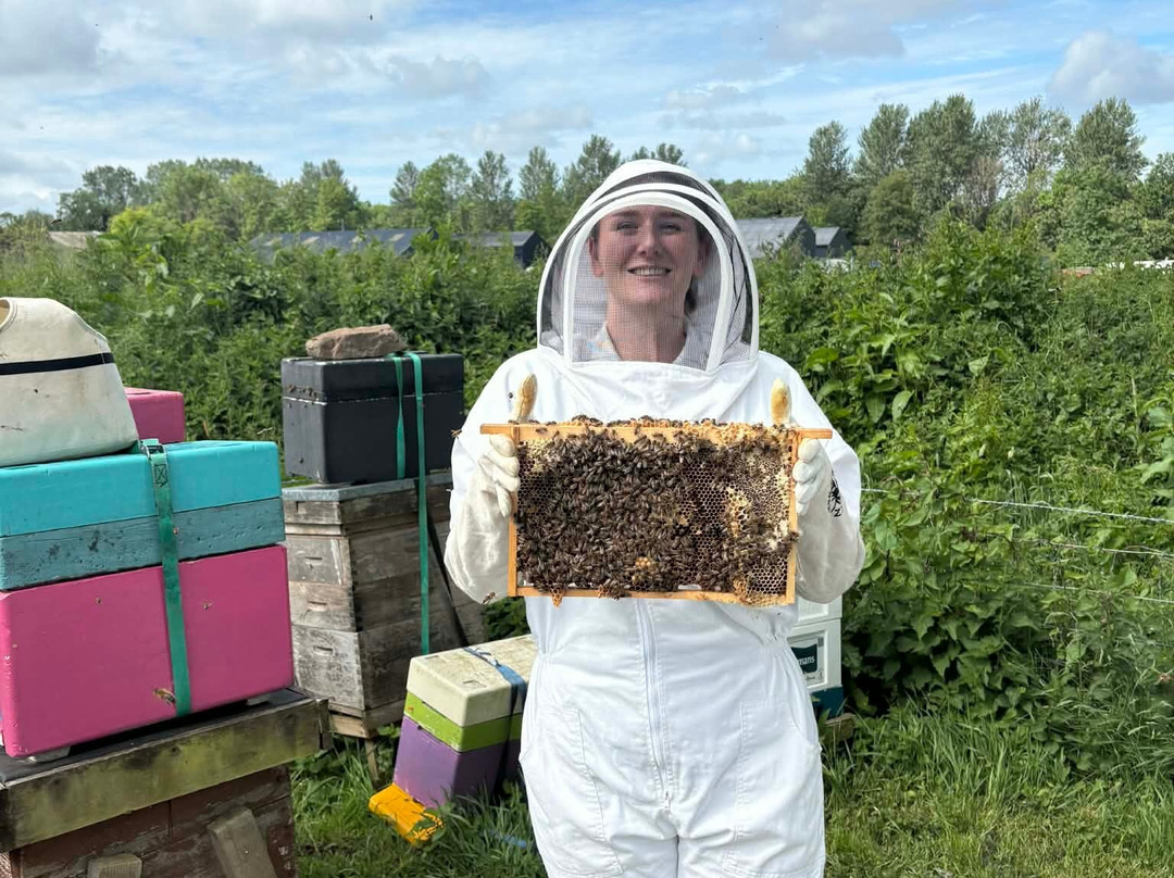 The Bee Centre-乔利必去景点