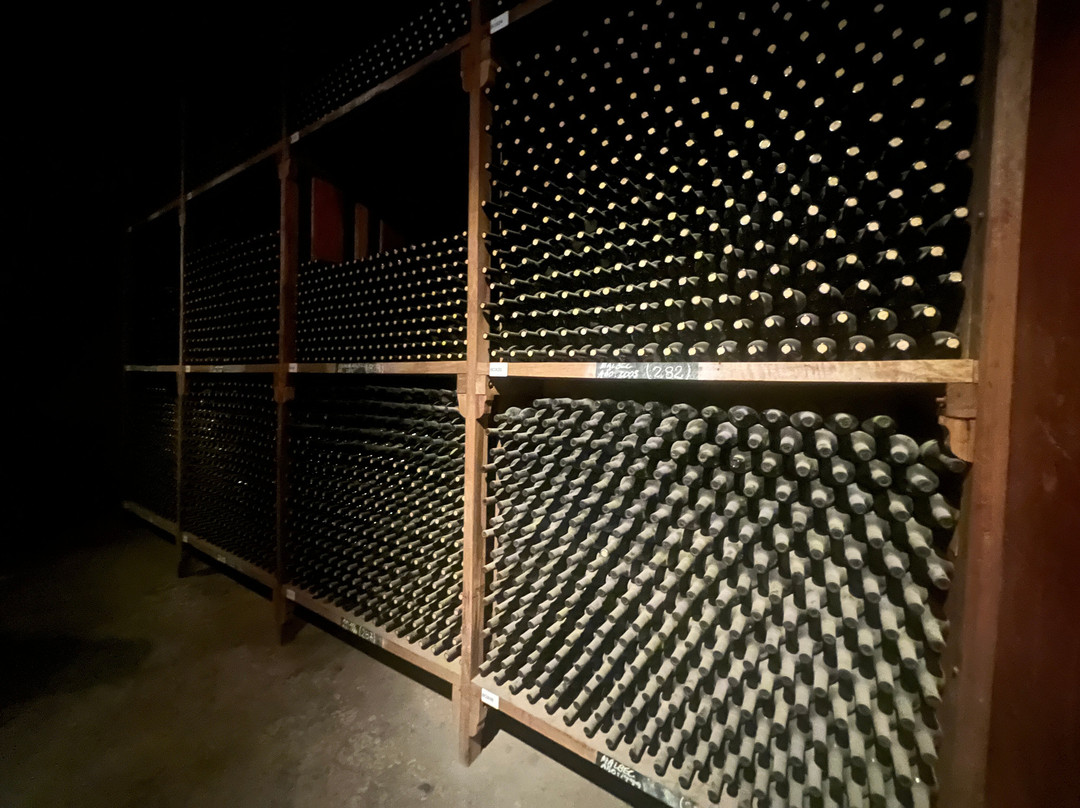 Altieri Wines - Vinorum-路冉得库约必去景点